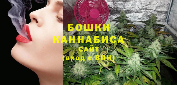 гидра Лихославль
