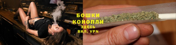 гидра Лихославль