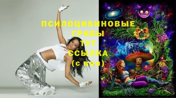соль ск Ладушкин